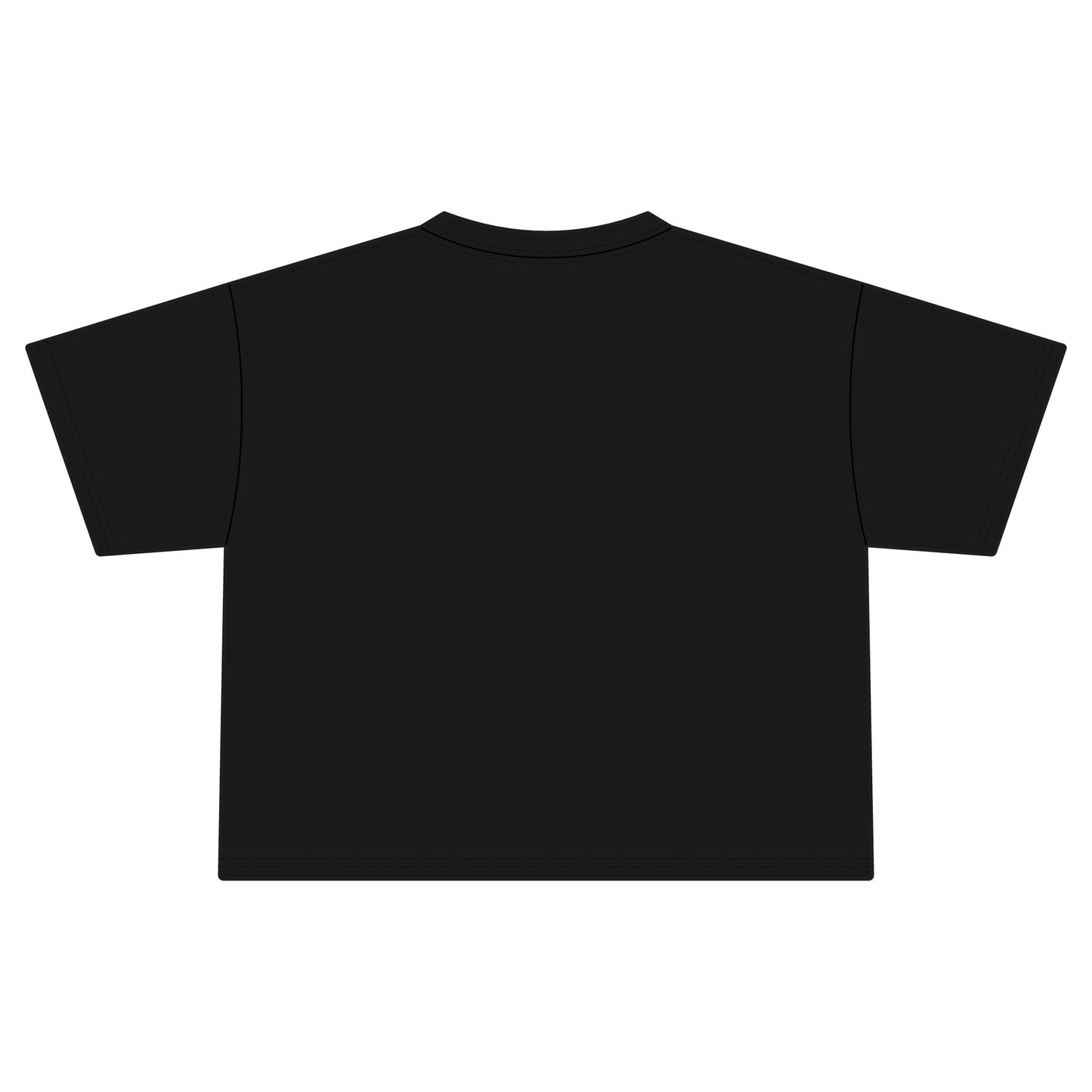 Sensitive Person Crop Tee — Minimalist Black Women's Jersey Top